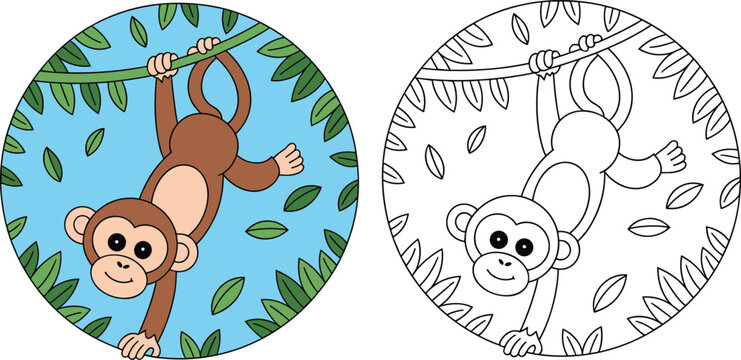 Vector illustration of monkey hanging from vine with colored and outline versions for children&rsquo;s activities