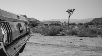 Vintage car detail in Joshua tree desert landscape © joeyarcisz