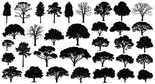 A collection of various tree silhouettes