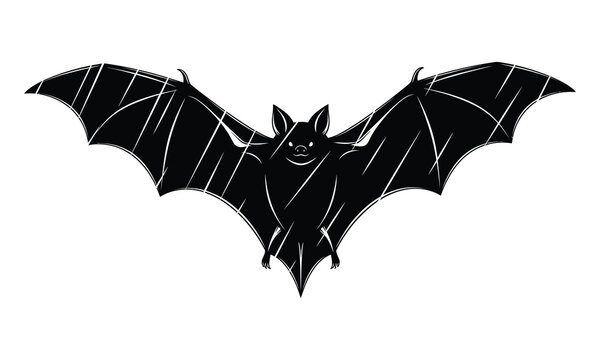Detailed sketch of a bat in flight with spread wings