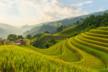 Obraz premium Natural and urban views of Vietnam