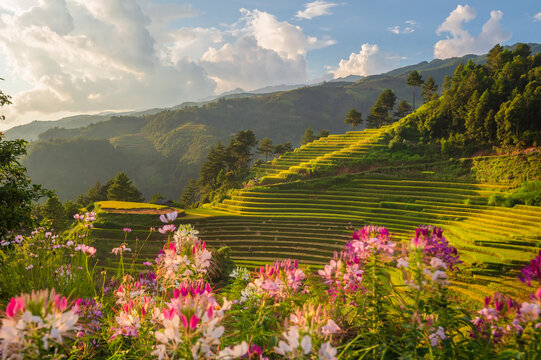 Natural and urban views of Vietnam