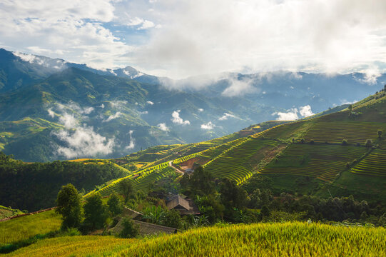 Natural and urban views of Vietnam