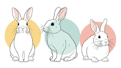Fototapeta premium Adorable white rabbits presented in different poses within soft pastel circles for a gentle animal theme.