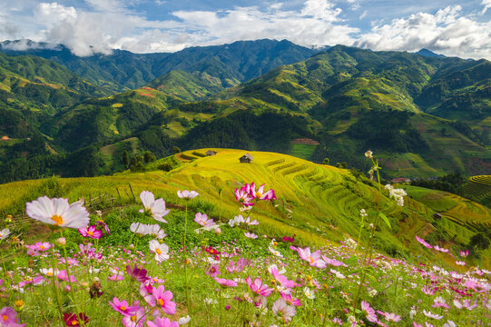 Natural and urban views of Vietnam
