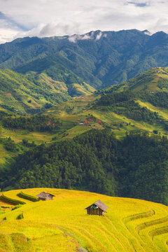 Natural and urban views of Vietnam