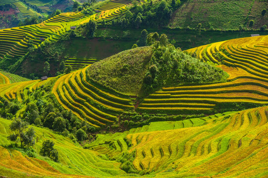 Natural and urban views of Vietnam