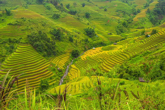Natural and urban views of Vietnam