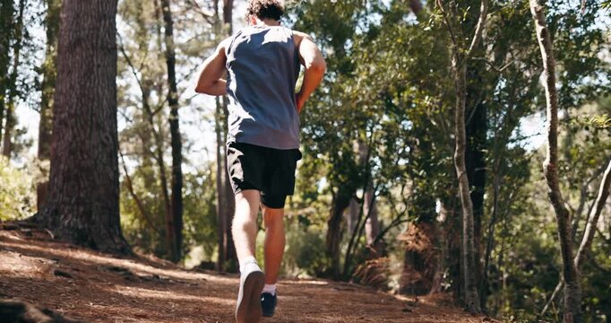 Man, fitness and running with exercise in forest for outdoor workout or training in nature. Back view, active runner or male person with sprint or endurance for cardio or physical activity in woods