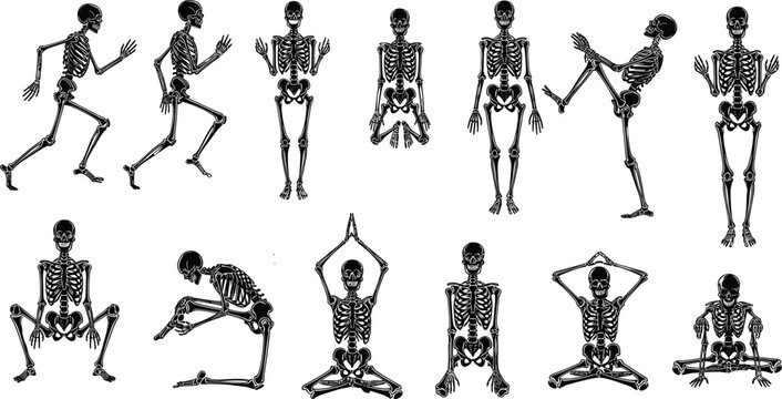Skeleton yoga poses, meditation skeleton illustration, fitness skeleton art, anatomy skeleton exercise, yoga skeleton artwork, skeletal meditation design, skeleton posture art