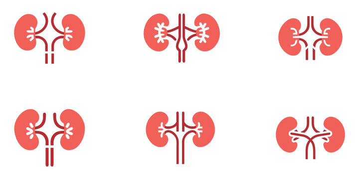 Human kidney vector icon set, nephrology CKD kidney renal stage symbol vector art illustration