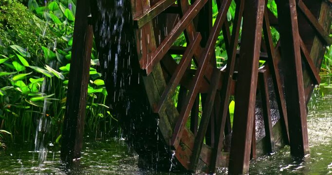 Close-up of a traditional wooden waterwheel operating in a garden pond.
