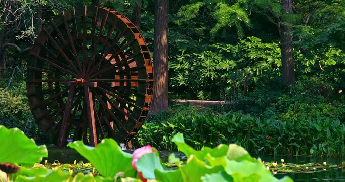 Close-up of a traditional wooden waterwheel operating in a garden pond.