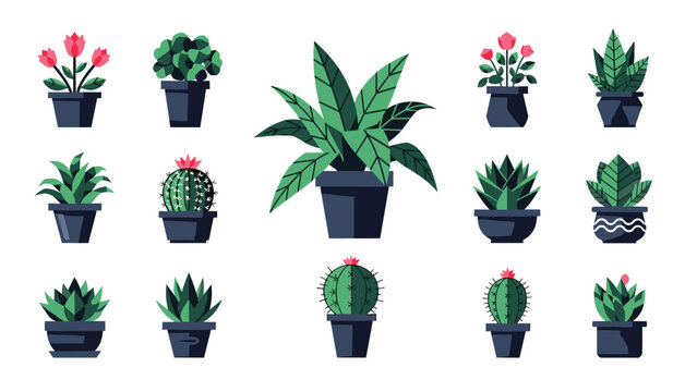 Large collection of various indoor potted plants including leafy shrubs, flowering tulips, and different types of cacti.