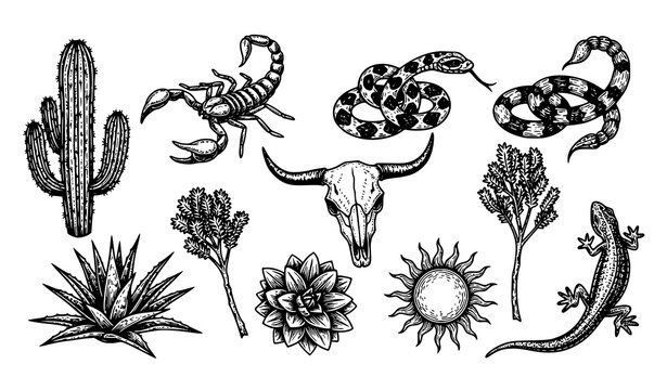 Decorative vintage desert icons vector set in black and white woodcut style for rustic design