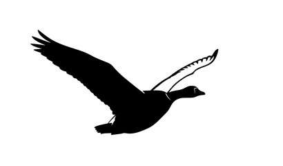 Flying goose silhouette vector illustration in black outline for wildlife and nature design © MstMonisha