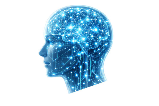 Futuristic artificial intelligence concept showing translucent human head profile filled with glowing neural network connections and digital brain circuitry on black background