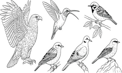Obraz premium six different birds detailed blue line art, perched and flying, wildlife nature outdoor artistic design