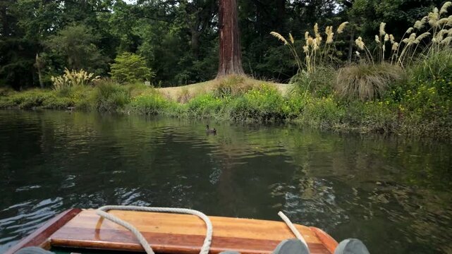 Point Of View Boat Ride Past Grassy Riverbank