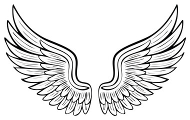 Fototapeta premium Elegant spread wings detailed illustration line art drawing monochrome vector