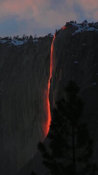 Vertical Screen: Yosemite National Park Firefall phenomenon as Horsetail Fall glows bright orange against dark granite cliff face of El Capitan during February sunset with snow-covered peaks and pine 