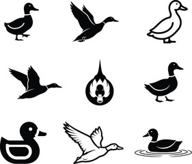 Fototapeta premium Black and white duck silhouettes and illustrations in various poses and styles