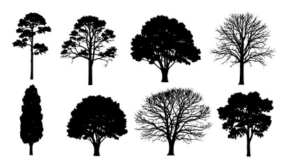 Fototapeta premium Isolated black tree silhouette vector set minimal nature illustration