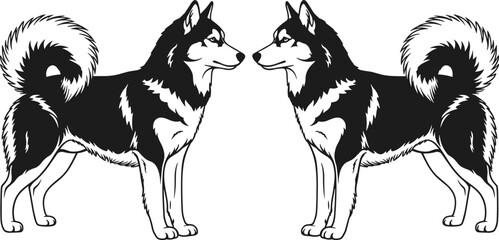 husky dog silhouette pair, symmetrical canine illustration, wolf like pets, black and white animal design, domestic breed artwork, standing huskies facing © MstLaila