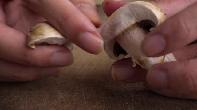 Close up of hands breaking Agaricus bisporus mushroom