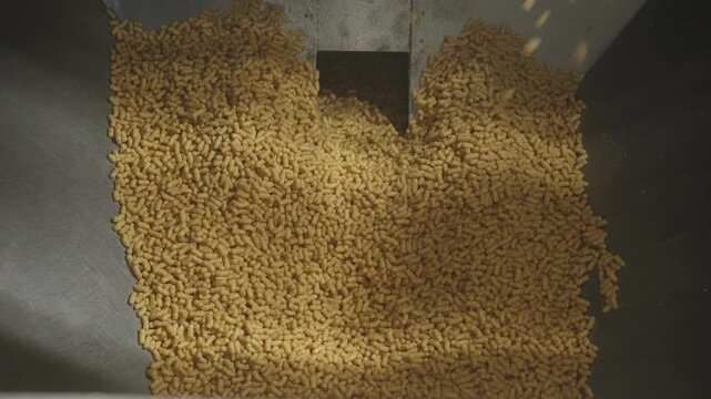 Peanut crisps flowing in food processing machine, industrial snack production and manufacturing.