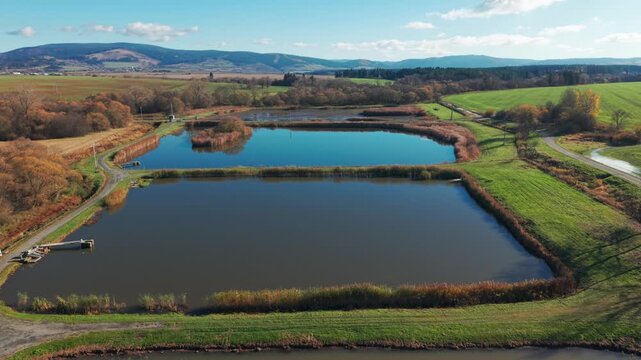 Aerial view of fish ponds in rural landscape, aquaculture farming and water reservoirs in countryside.