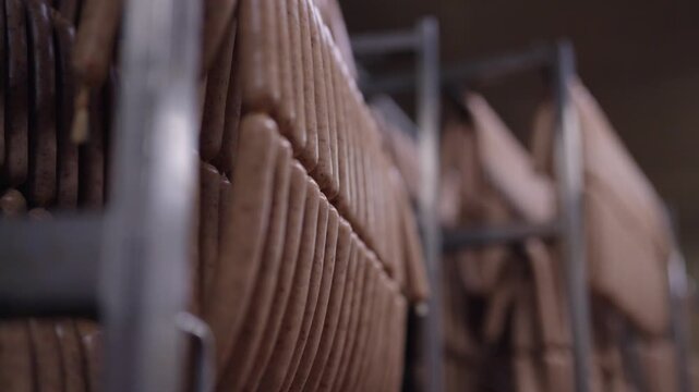 Rows of sausages hanging in food processing facility, industrial meat production and storage.