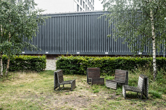 Relaxation in daylight as chairs sit on lawn beneath trees in urban garden where greenery landscaping supports sustainability and calm leisure