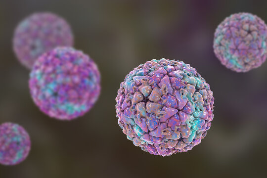 Foot-and-mouth disease virus virion, 3D illustration