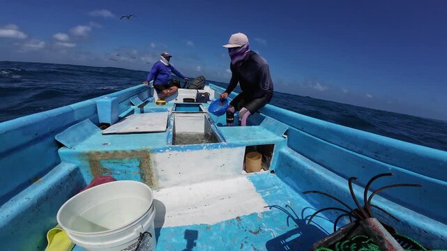 Slow motion Immersive wide shot of fishermen at work on a blue boat, surrounded by diving seagulls and pelicans in the sunny waters of Los Roques.