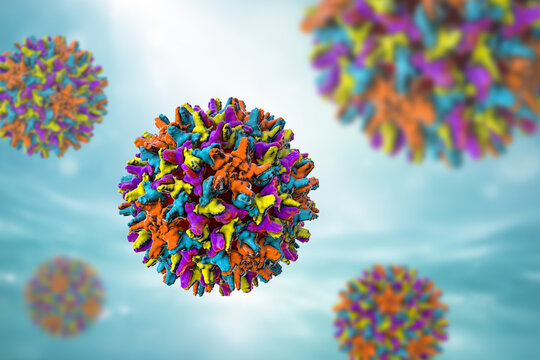Hepatitis B virus, 3D illustration