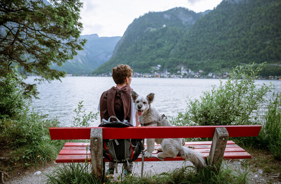 Man with dog sitting on bench by alpine lake with mountain view