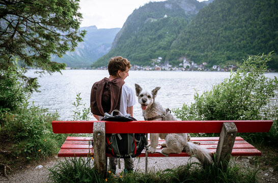 Man with dog sitting on bench by alpine lake with mountain view