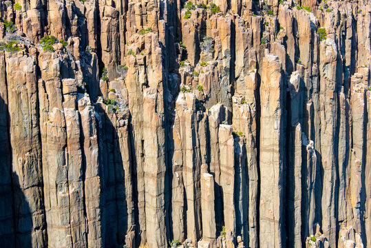 Dolerite Columns of Cape Raoul - Tasmania