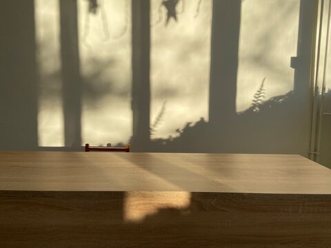 Sunlit Tabletop with Window Shadow