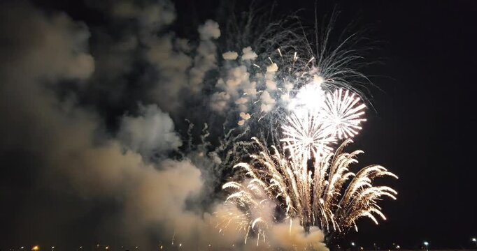 Fireworks explode in night sky.
