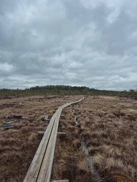 Long wooden duckboards trail in a peat bog. Early spring Nordic nature landscape.Hiking path on wooden planks across the marshland. Concept of adventure and solitude.