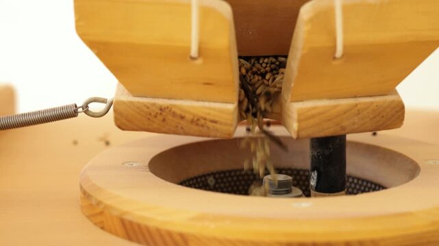Close-up of organic grain falling into a traditional wooden flour mill for grinding