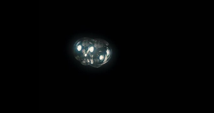 Captivating, enchanting soap bubbles drifting gracefully on a deep black background, perfect for a variety of abstract motion graphics and stunning visual effects that catch the eye and inspire