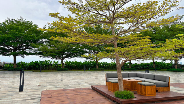 Modern outdoor lounge area surrounded by Terminalia mantaly tree features contemporary wooden furniture set on a raised deck