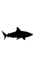 Fototapeta premium Black silhouette of a shark swimming.