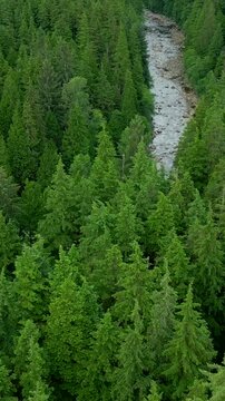 Aerial view of stunning mountain landscape. Taken near Vancouver