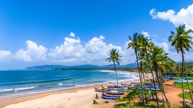 Agonda beach with coconut trees