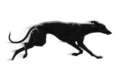 Fototapeta premium Sleek Greyhound Running in Silhouette Against White Background