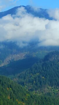 Aerial view of colourful forest on mountain slopes and cloudy sky. Canada